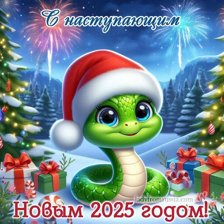 С наступающим Новым 2025 годом!